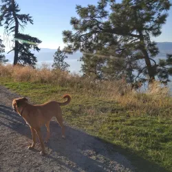 Cedar Creek Park - West Kelowna