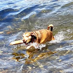 Cedar Creek Park - West Kelowna
