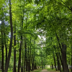 Gellatly Nut Farm Regional Park - West Kelowna