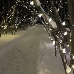 Gellatly Nut Farm Regional Park - West Kelowna