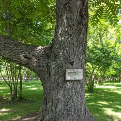 Gellatly Nut Farm Regional Park - West Kelowna