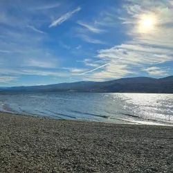 Gellatly Nut Farm Regional Park - West Kelowna