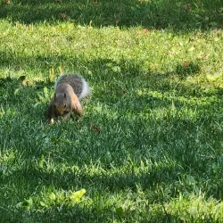 Gellatly Nut Farm Regional Park - West Kelowna