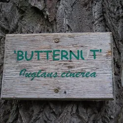 Gellatly Nut Farm Regional Park - West Kelowna