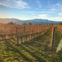 Kalala Organic Estate Winery - West Kelowna