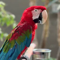 Kangaroo Creek Farm - West Kelowna