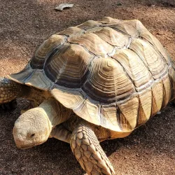 Kangaroo Creek Farm - West Kelowna