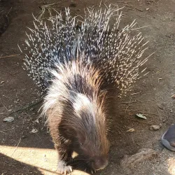 Kangaroo Creek Farm - West Kelowna