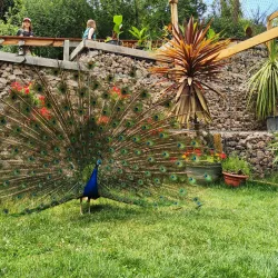 Kangaroo Creek Farm - West Kelowna
