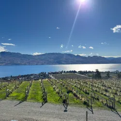 Mission Hill Family Estate Winery - West Kelowna