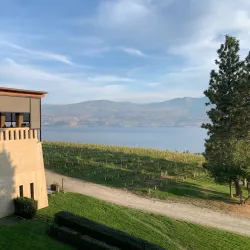 Mission Hill Family Estate Winery - West Kelowna