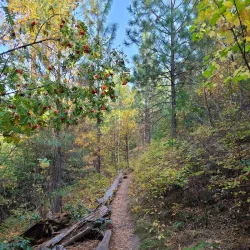 Mount Boucherie Park - West Kelowna