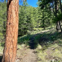 Rose Valley Regional Park - West Kelowna