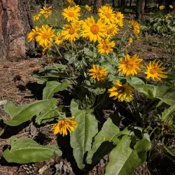 Rose Valley Regional Park - West Kelowna