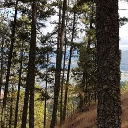 Rose Valley Regional Park - West Kelowna