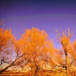 Weyburn Regional Park - Weyburn