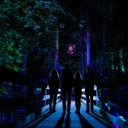 Vallea Lumina - Whistler