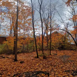 Brooklin Community Centre and Arena - Whitby