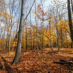 Brooklin Community Centre and Arena - Whitby