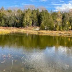 Heber Down Conservation Area - Whitby