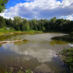 Heber Down Conservation Area - Whitby