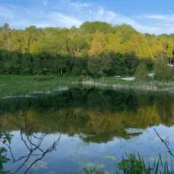 Heber Down Conservation Area - Whitby