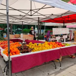 Whitby Farmers' Market - Whitby