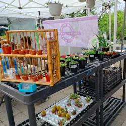 Whitby Farmers' Market - Whitby