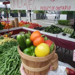Whitby Farmers' Market - Whitby