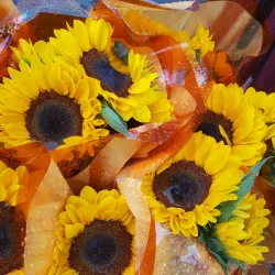 Whitby Farmers' Market - Whitby