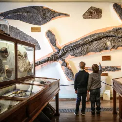 Whitby Museum - Whitby