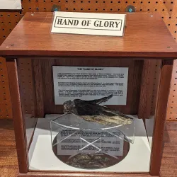 Whitby Museum - Whitby