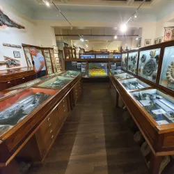 Whitby Museum - Whitby