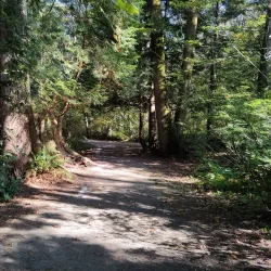 Crescent Park - White Rock