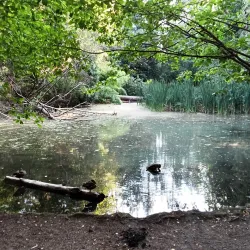 Crescent Park - White Rock