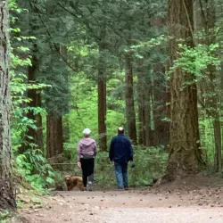 Crescent Park - White Rock
