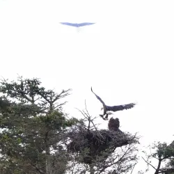 Marine Drive - White Rock