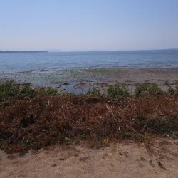 Marine Drive - White Rock