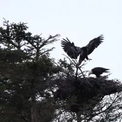 Marine Drive - White Rock