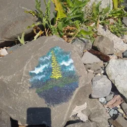 Marine Drive - White Rock