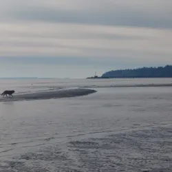 Semiahmoo Park - White Rock