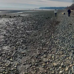 Semiahmoo Park - White Rock