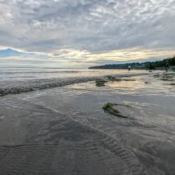 White Rock Beach - White Rock