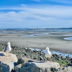 White Rock Beach - White Rock