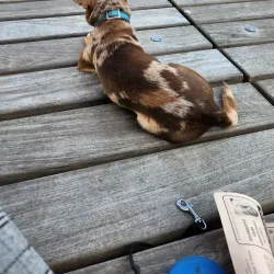 White Rock Community Centre - White Rock