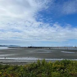 White Rock Pier - White Rock