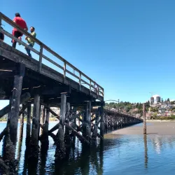 White Rock Promenade - White Rock