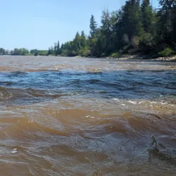 McLeod River Trail - Whitecourt
