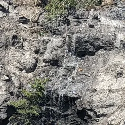 McLeod River Trail - Whitecourt