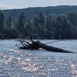 McLeod River Trail - Whitecourt